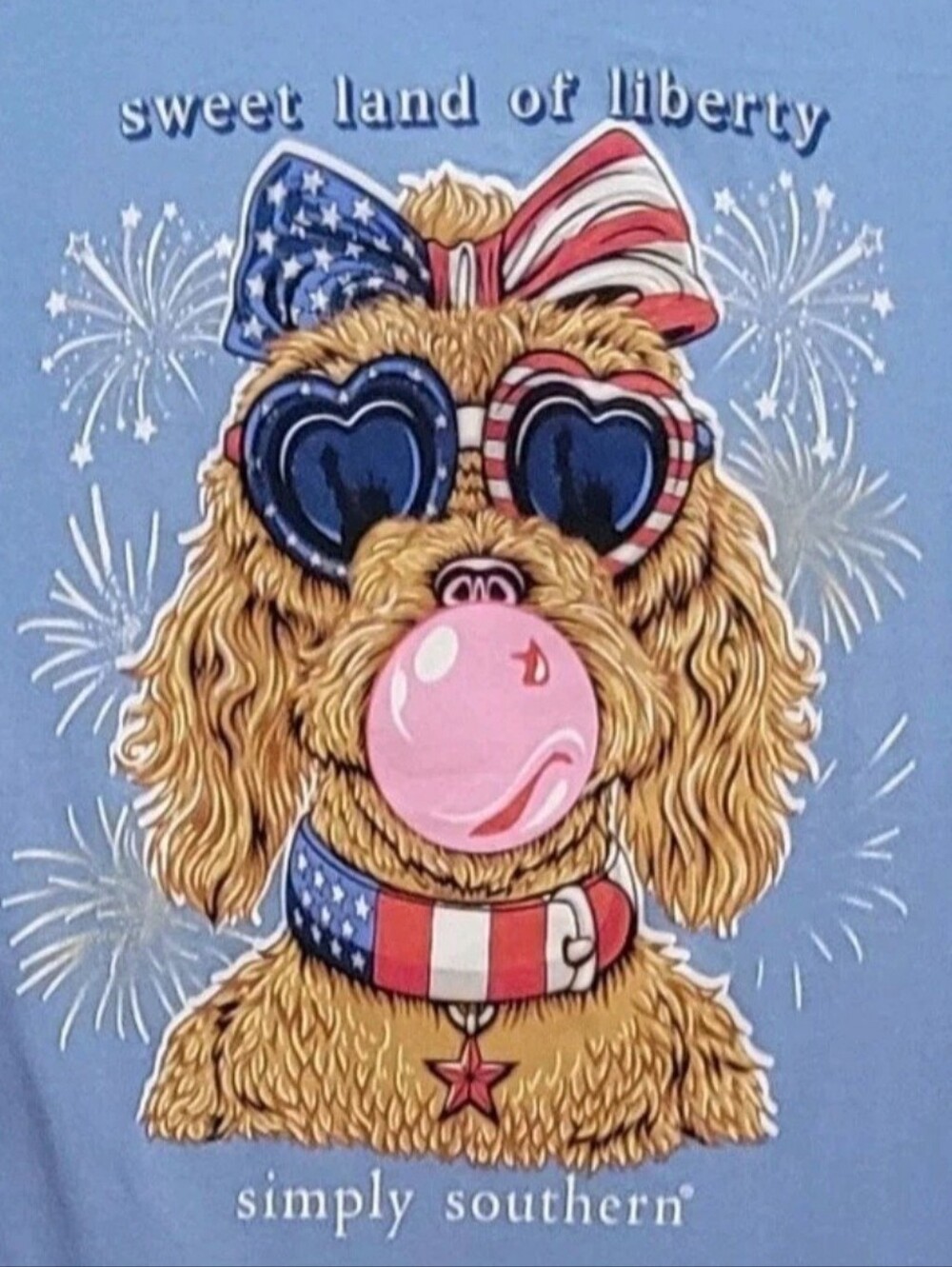 Simply Southern Sweet Land of Liberty  Doodle Dog Bubble Gum T-shirt Youth M New